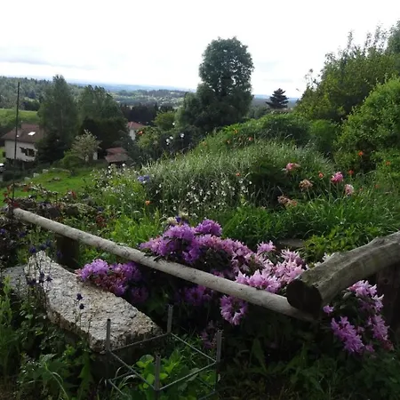 A Pestel Appartement